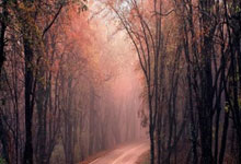 国际足球邀请赛-中国U22-越南U22.