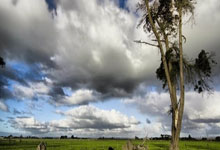 亚冬会:山东运动员李方慧为中国夺得首金.